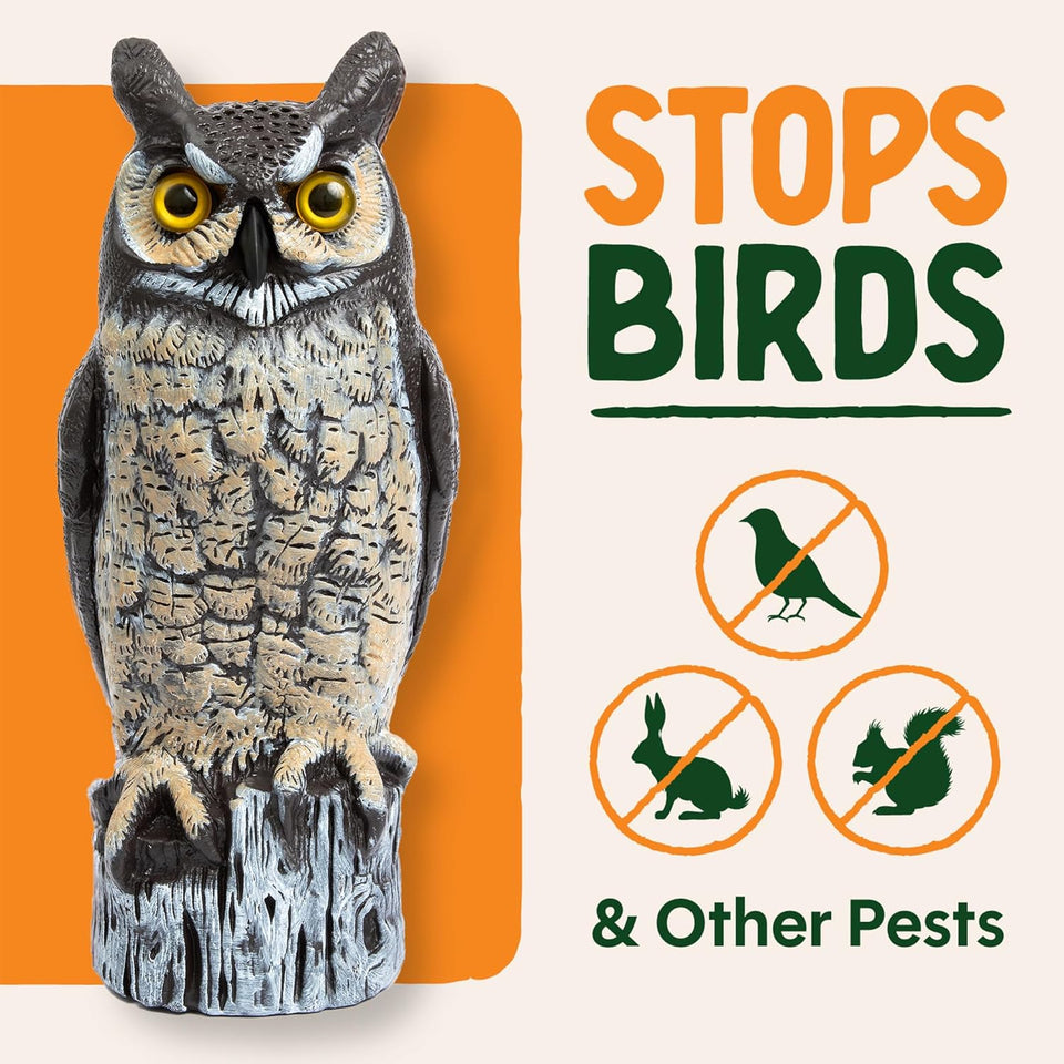 Dalen Large Fake Owl Decoy to Scare Birds Away - 16 in Hand-Painted Great Horned Owl Garden Scarecrow for Natural Pest Control - Fixed Head Design - Secure Upright by Filling with Sand/Gravel Only