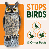 Dalen Large Fake Owl Decoy to Scare Birds Away - 16 in Hand-Painted Great Horned Owl Garden Scarecrow for Natural Pest Control - Fixed Head Design - Secure Upright by Filling with Sand/Gravel Only