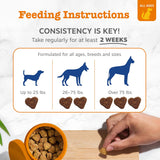 Zesty Paws Dog Multivitamin, Chewable Dog Vitamins and Supplements for Hip & Joints, Skin & Coat, Omega 3 Fish Oil for Dogs- Senior & PLppy Multivitamin- Chicken- 90ct