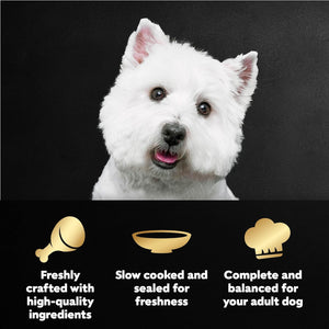 cesar filets in gravy wet dog food rotisserie chicken flavor, filet mignon flavor, and wood-grilled chicken variety pack for adult dogs
