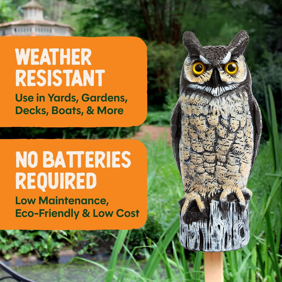 Dalen Large Fake Owl Decoy to Scare Birds Away - 16 in Hand-Painted Great Horned Owl Garden Scarecrow for Natural Pest Control - Fixed Head Design - Secure Upright by Filling with Sand/Gravel Only
