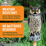 Dalen Large Fake Owl Decoy to Scare Birds Away - 16 in Hand-Painted Great Horned Owl Garden Scarecrow for Natural Pest Control - Fixed Head Design - Secure Upright by Filling with Sand/Gravel Only
