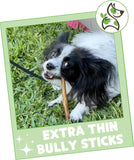 nature gnaws extra thin bully sticks for small dogs 5-6 inch long lasting natural beef dog chew bones for puppies and seniors