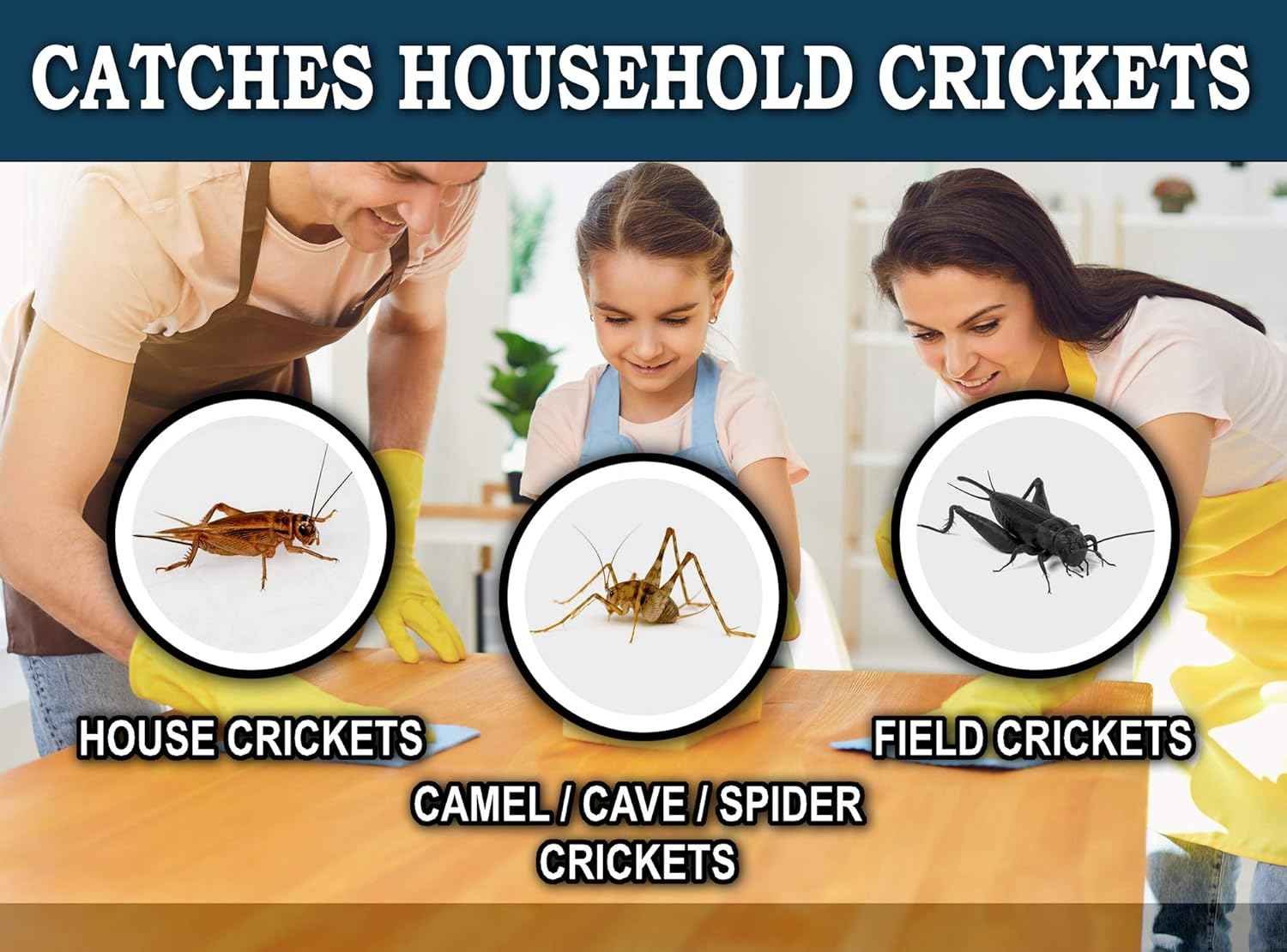 maxguard-extra-large-cricket-traps-8-traps-non-toxic-extra-sticky-glue-pre-baited-cricket-attractant-trap-kill
