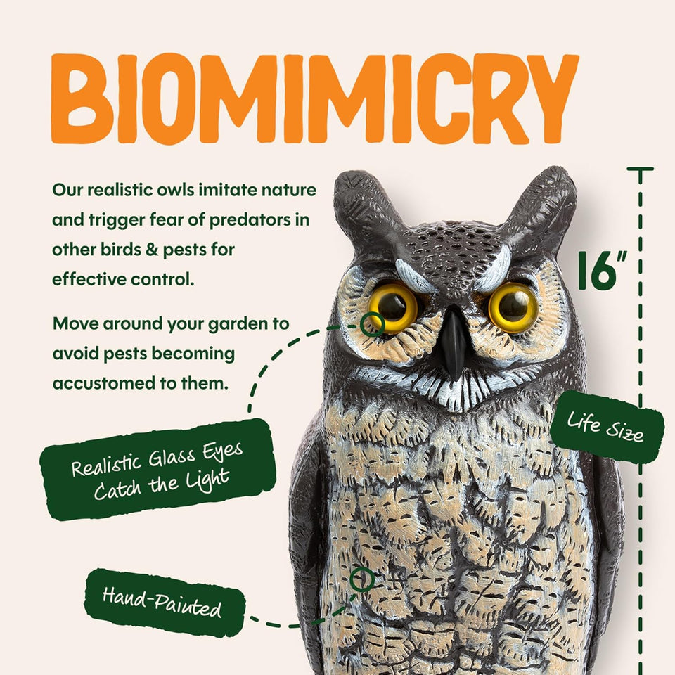 Dalen Large Fake Owl Decoy to Scare Birds Away - 16 in Hand-Painted Great Horned Owl Garden Scarecrow for Natural Pest Control - Fixed Head Design - Secure Upright by Filling with Sand/Gravel Only