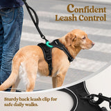 rabbitgoo Dog Harness No PLll with 2 Leash Clips, Adjustable Soft Padded, Reflective Oxford No Choke Pet Vest with Easy Control Handle for Large Dogs, Black, L