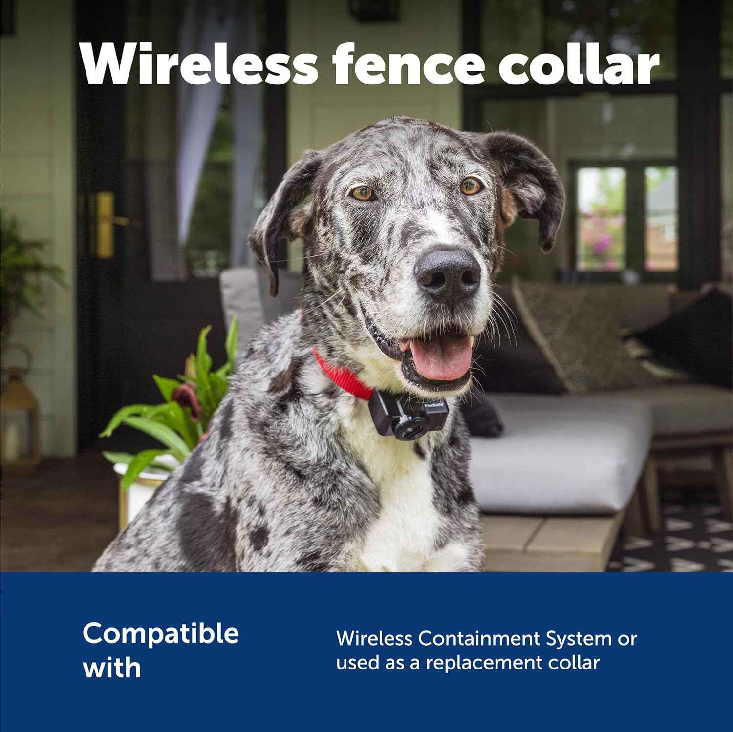 PetSafe Wireless Pet Containment System Receiver Collar - Battery-Operated & Waterproof - Adjustable Receiver Collar with 5 Correction Levels - for Dogs 5lb+