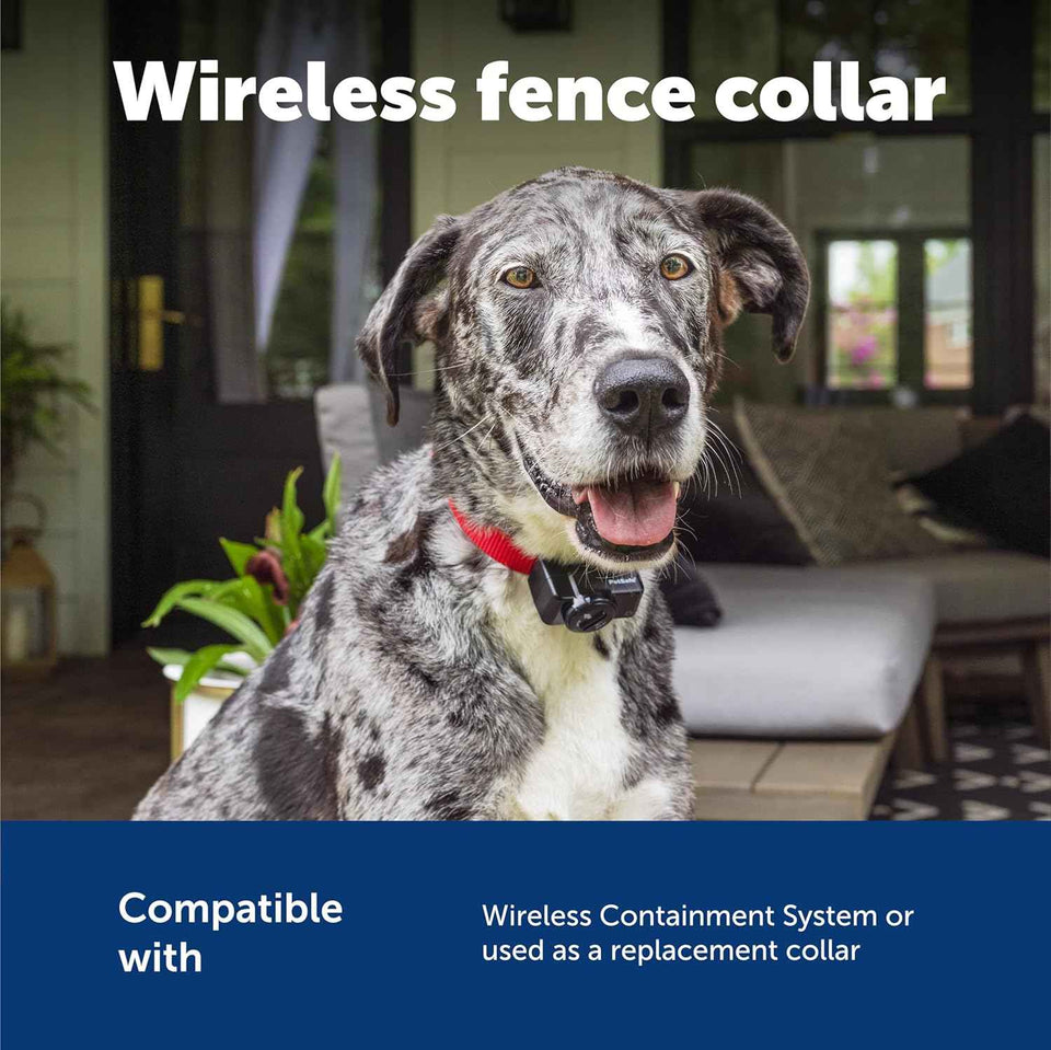 PetSafe Wireless Pet Containment System Receiver Collar - Battery-Operated & Waterproof - Adjustable Receiver Collar with 5 Correction Levels - for Dogs 5lb+
