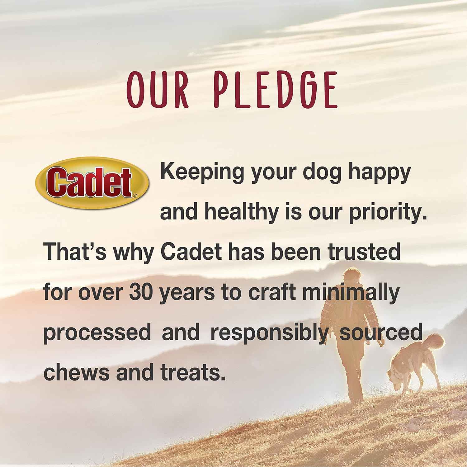 Cadet Stuffed Shin Bone, Long-Lasting Dog Chew Bones for Aggressive Chewers, High Protein Filled Bone Dental Chew for Dogs, Peanut Butter Flavor Filling, 5-6" for Large Dogs