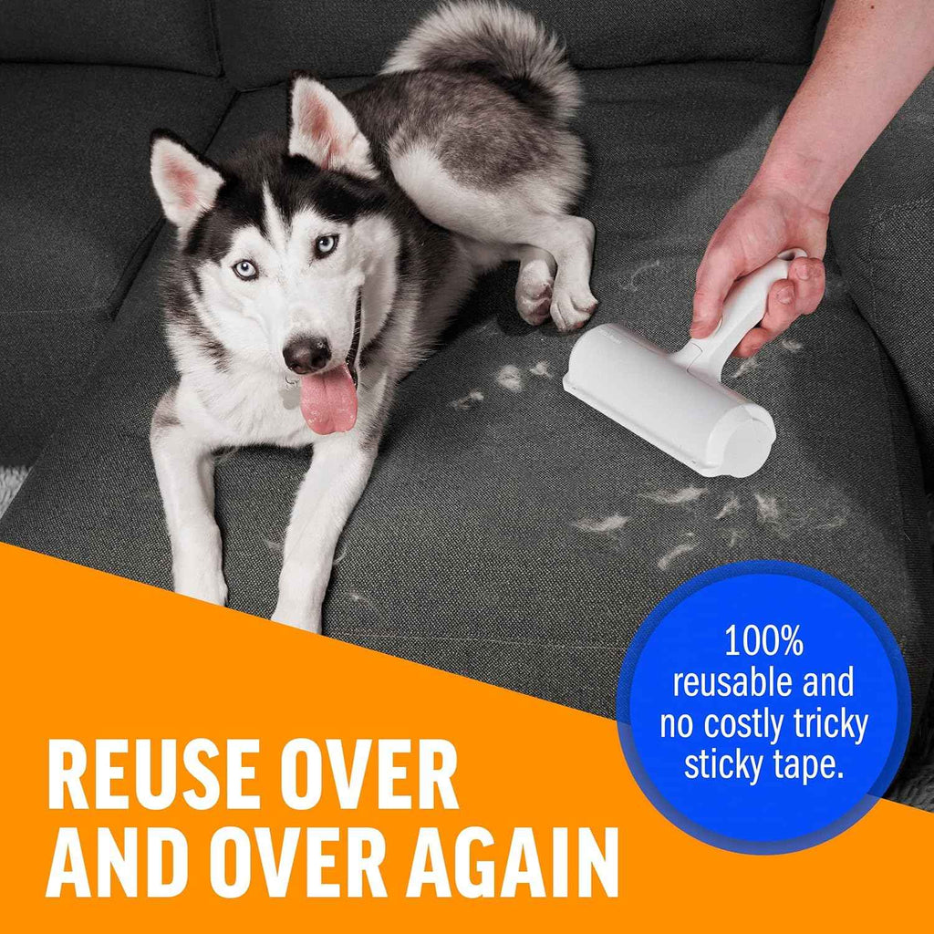 ChomChom roller pet hair remover and reusable lint roller for cat and dog hair removal on furniture, couch, carpet, clothing and bedding