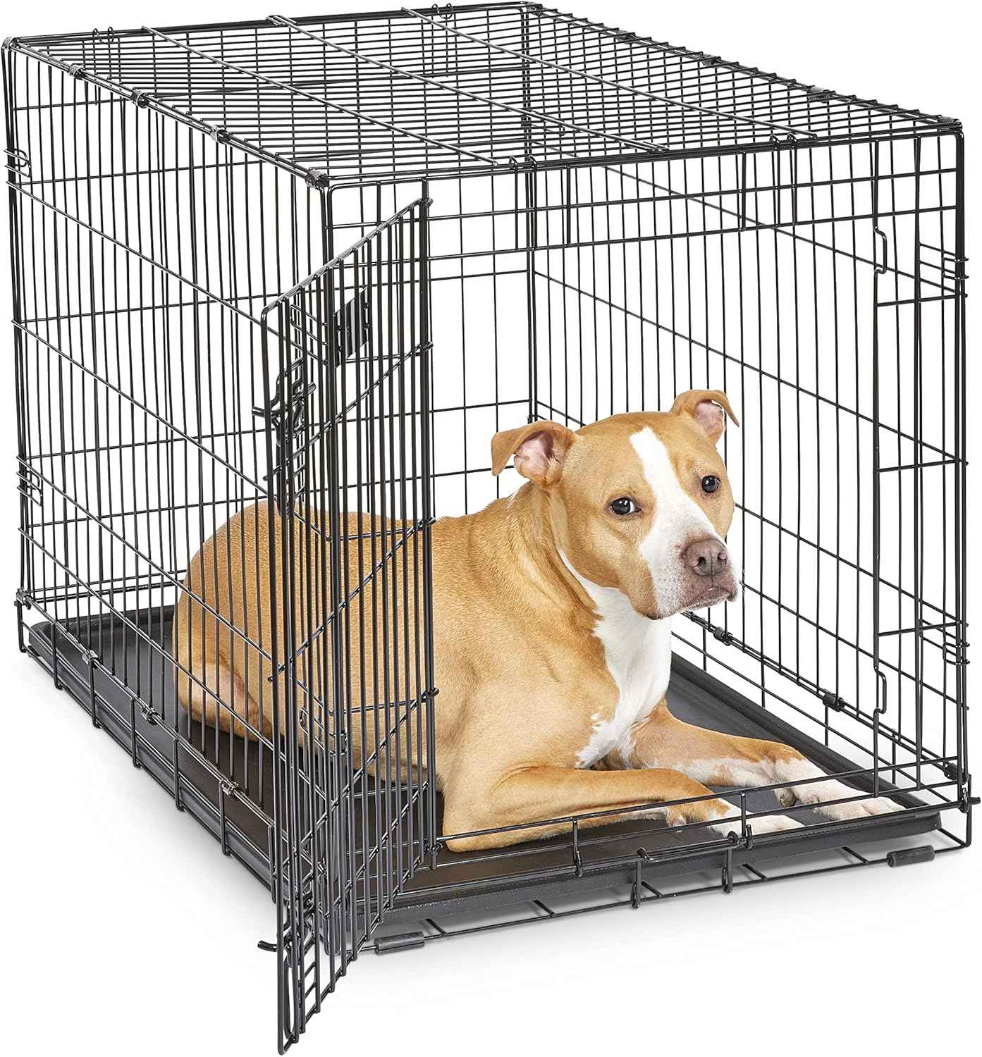 MidWest iCrate 36-inch metal wire dog crate with divider, leak-proof tray, and secure latches for medium large breeds