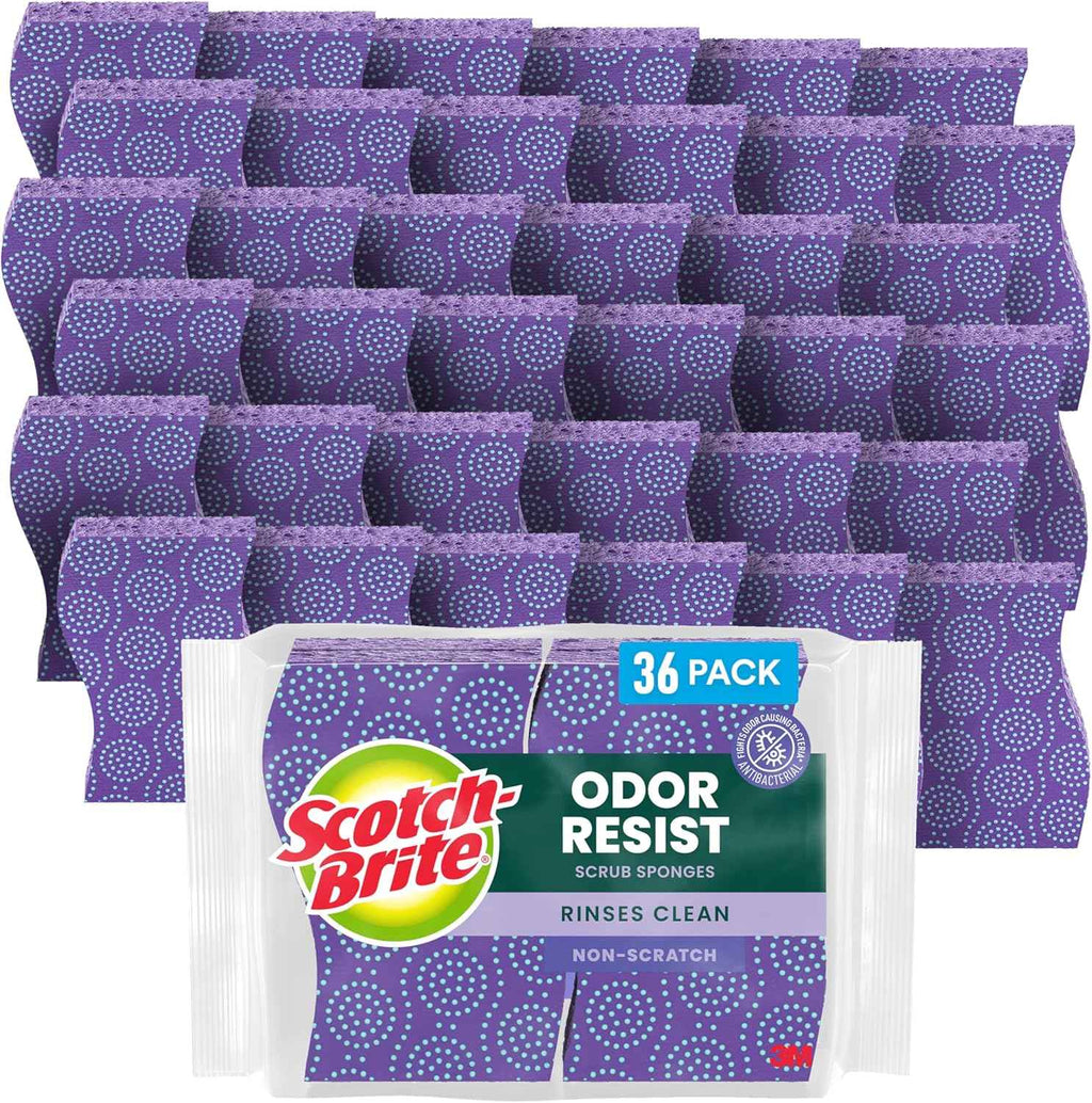 Scotch-Brite Odor Resist Non-Scratch Scrub Sponge, Dishwasher-Safe Kitchen Sponges that Resist Bacterial Odors, Multipurpose Dish Sponge for Gentle Cleaning, 6 Dish Sponges