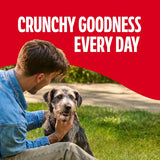 Milk-Bone Original Dog Treats Biscuits for Medium Dogs, 10 Pound