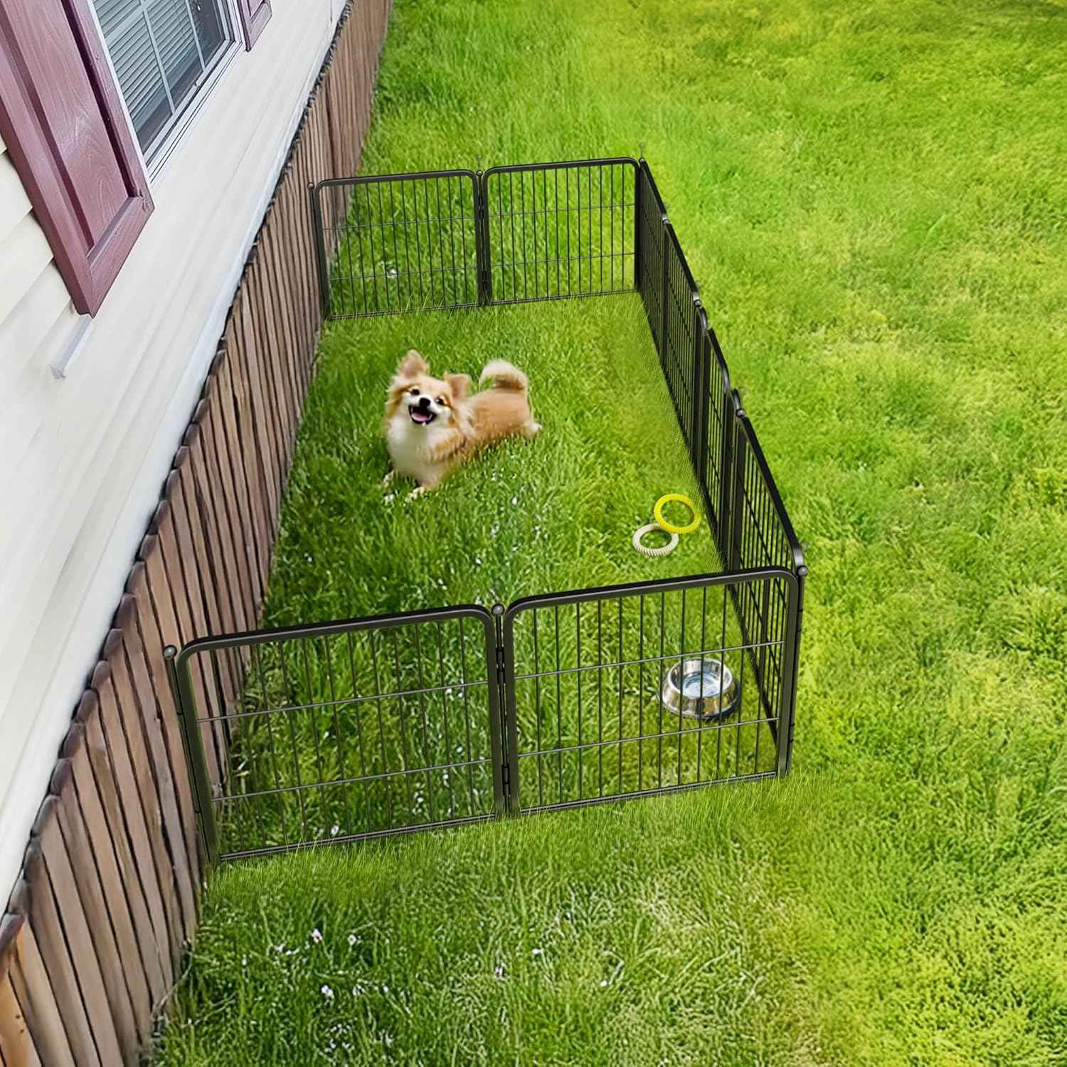 FXW Rollick Unleashed Dog Playpen for Indoor, Yard, RV Camping, 24 inch 8 Panels for Small and Puppy Dogs, Black│Patented