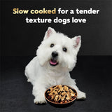cesar filets in gravy wet dog food rotisserie chicken flavor, filet mignon flavor, and wood-grilled chicken variety pack for adult dogs