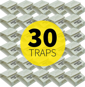 S&T INC. Insect Traps, 30 Count, Glue Traps for Brown Recluse, Hobo Spiders, Black Widows, Use in Home, Basement or Garage, or Utility Rooms for Pest Control