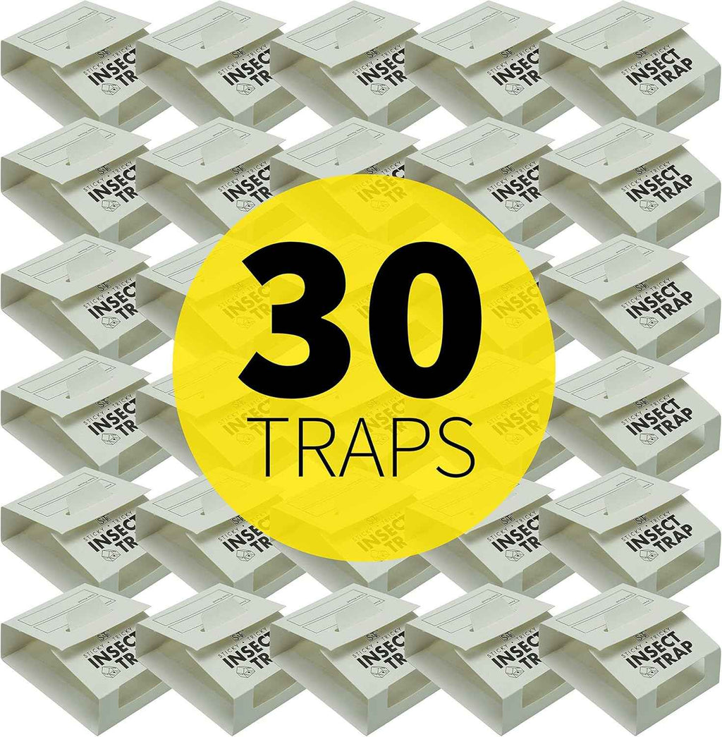 s t inc 30 count glue traps for brown recluse hobo spiders black widows home basement garage pest control
