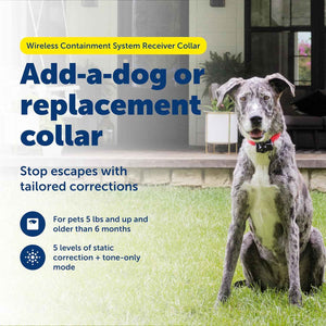 PetSafe Wireless Pet Containment System Receiver Collar - Waterproof, Adjustable, 5 Correction Levels, for Dogs 5lb+