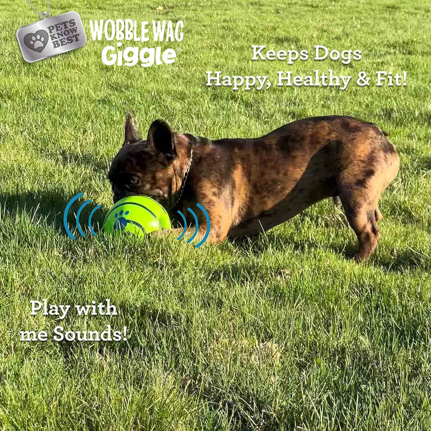 Wobble Wag Giggle Ball | Rolling Enrichment Toy for Indoor or Outdoor Play with Dogs and Puppies