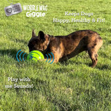 Wobble Wag Giggle Ball | Rolling Enrichment Toy for Indoor or Outdoor Play with Dogs and Puppies
