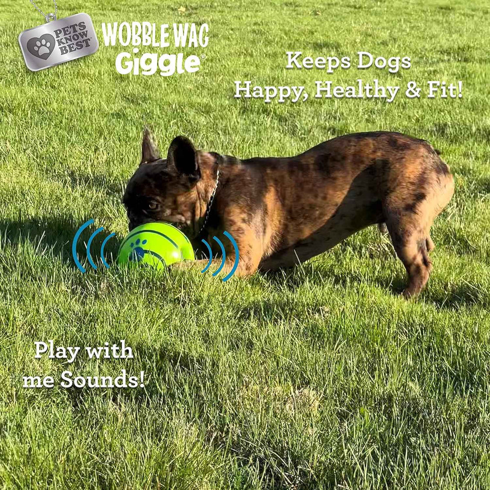 Wobble Wag Giggle Ball | Rolling Enrichment Toy for Indoor or Outdoor Play with Dogs and Puppies