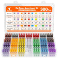 JOREST 300Pcs Car Fuse Assortment Kit, 160 Mini Blade Fuses Automotive + 90 Standard Auto Fuses + 50 Micro + PLller – Replacement for RV Camper Boat Truck (2Amp 3A 5A 7.5A 10A 15A 20A 25A 30A 35A 40A)