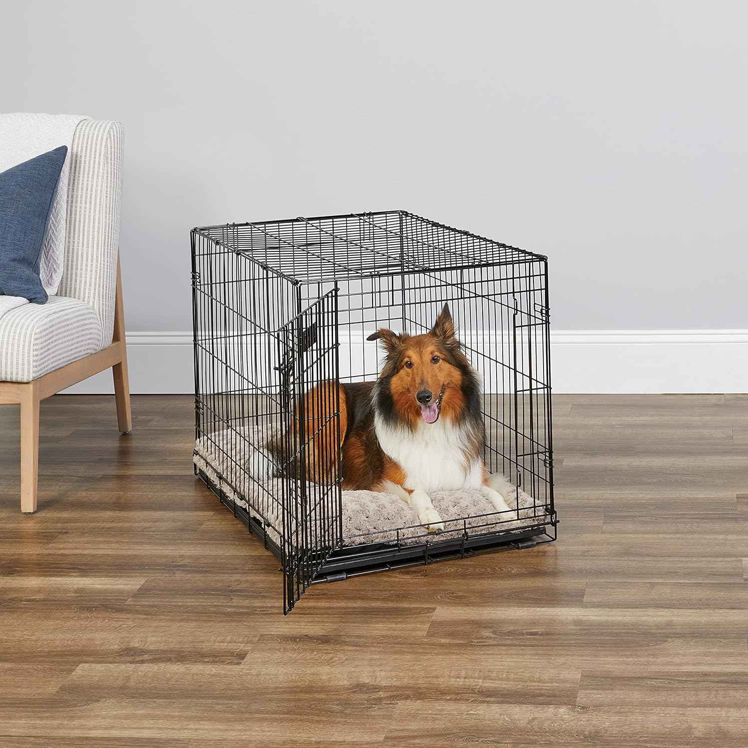 MidWest iCrate 36-inch metal wire dog crate with divider, leak-proof tray, and secure latches for medium large breeds