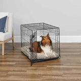 MidWest Homes for Pets 36-Inch iCrate Folding Dog Crate with Divider Panel, Leak-Proof Tray & Secure Latches – Metal Wire Kennel for Medium Large Breeds – Portable, Durable & Easy to Assemble
