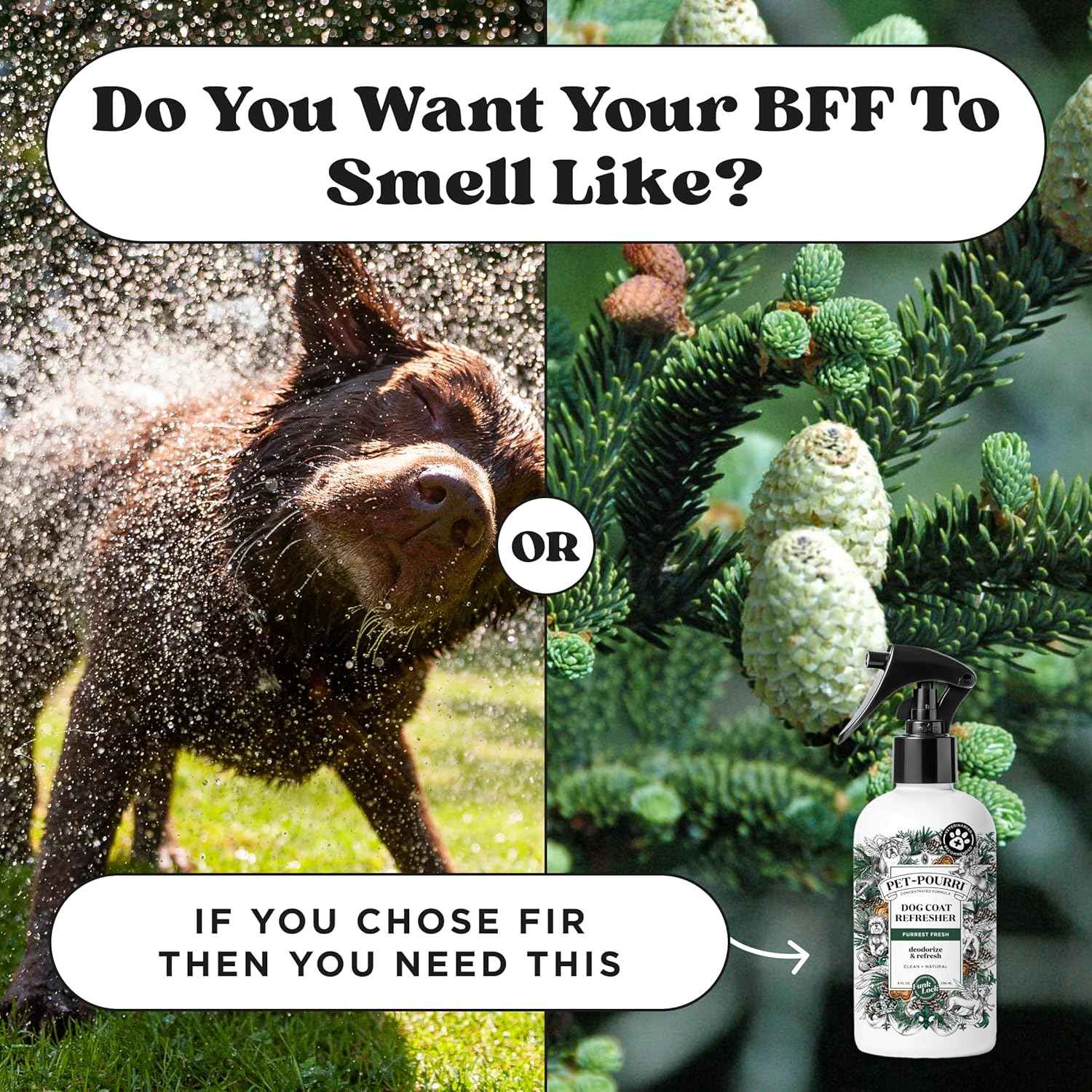 Poo-Pourri Furrest Fresh Dog Deodorizing Spray, 8 Fl Oz Grooming Perfume for Dog Coat, Pet Odor Neutralizer with Essential Oils, Vet Recommended, Paraben & Sulfate-Free Fir, Amber, & Cedarwood Scent