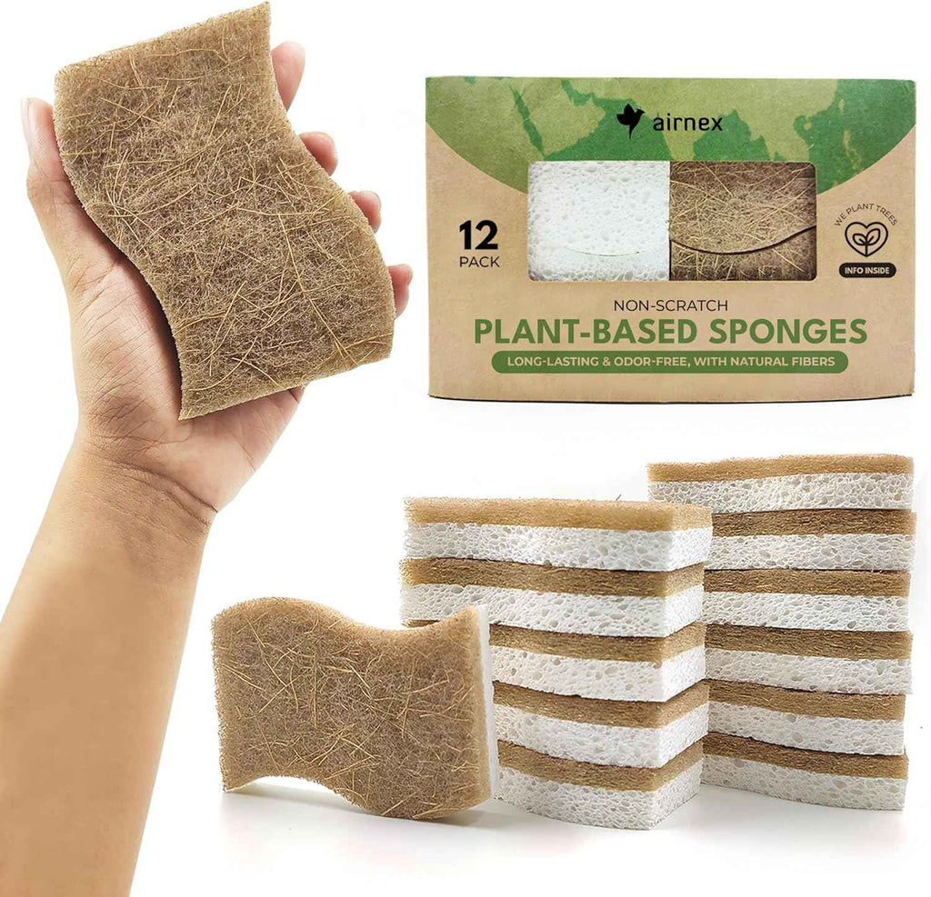 Natural Compostable Cellulose Coconut Walnut Kitchen Sponges 12 Pack Gentle Eco Friendly Daily Cleaning